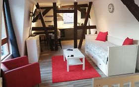 Magnifique Gite Plein Centre De Selestat